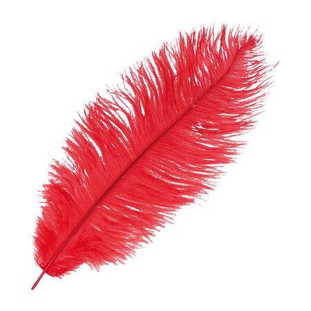 Plume d'autruche 30-35cm Rouge