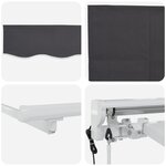 vidaXL Auvent Rétractable Anthracite Blanc Gris