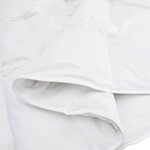 vidaXL Ensemble de Duvet avec oreiller 3 Pièces Blanc Plume de canard