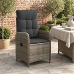 vidaXL Chaise de jardin inclinable Gris et Gris foncé