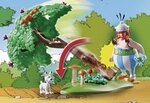 71160  Asterix  La chasse au sanglier