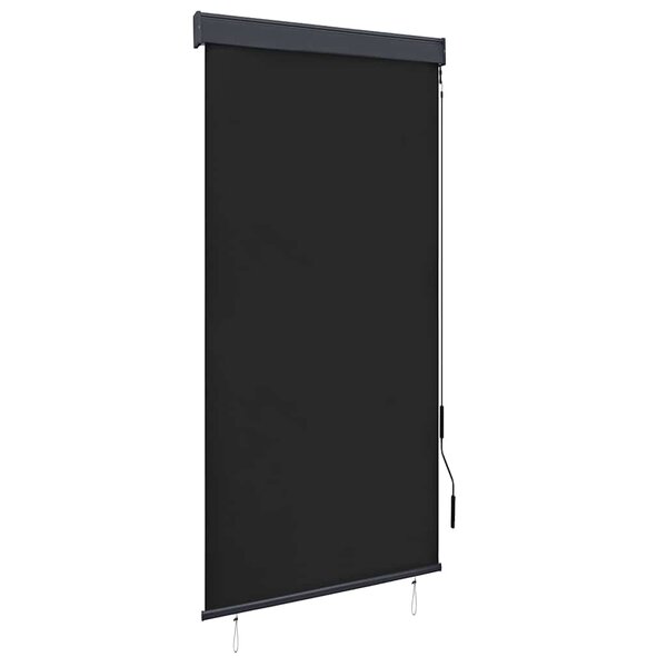 vidaXL Store roulant d'extérieur 100 x 250 cm Anthracite