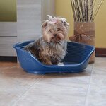 Panier-Corbeille Siesta Deluxe Taille 6 - 70 5 x 52 x 23 cm - Fuschia