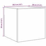 vidaXL Meuble TV 2 Pièces Noir 30.5 x 30 x 30 cm Bois d'ingénierie