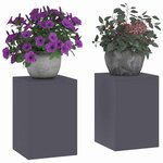 vidaXL Support de Plante 2 Pièces Anthracite 24 x 24 x 35 cm Acier