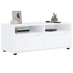 vidaXL Meuble TV VISNES blanc 100x40x38 cm bois d'ingénierie