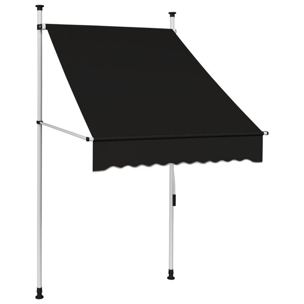 vidaXL Auvent manuel rétractable 100 cm Anthracite