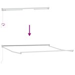 vidaXL Auvent rétractable anthracite et blanc 4x3 m tissu et aluminium