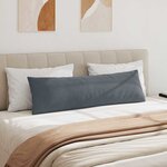 vidaXL Coussins de canapé 2 Pièces Gris foncé 145 x 40 cm