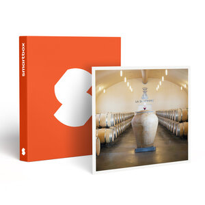 SMARTBOX - Coffret Cadeau Découverte du domaine Château de La Dauphine avec dégustation  pour 8 -  Multi-thèmes