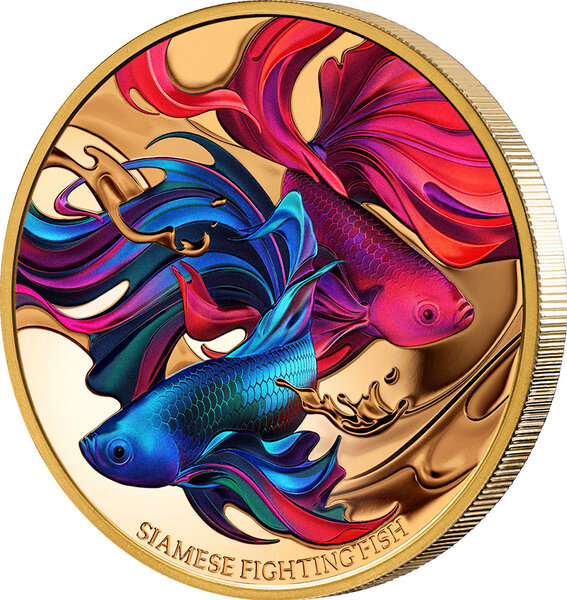 Pièce de monnaie en Or 100 Dollars g 31.1 (1 oz) Millésime 2024 SIAMESE FIGHTING FISH