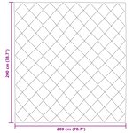 vidaXL Duvet d'été simple Noir 200 x 200 cm Microfibre