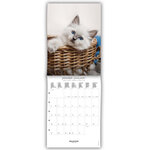 Petit Calendrier Mensuel 2025 14x18 Cm - Chats - Draeger paris