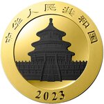 Pièce de monnaie en Argent 10 Yuan g 30 Millésime 2023 PANDA