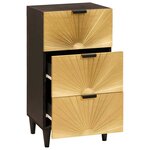 vidaXL Buffet Noir et or 40 x 33 x 75 cm bois de manguier massif