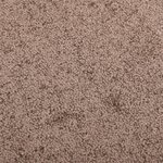 vidaXL Paillasson Marron 40x60 cm