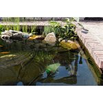 Velda pompe à eau usée pour bassin green line 12500 110 w 126597