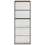 vidaXL Armoire à chaussures miroir 5niveaux Chêne marron 63x17x169 5cm