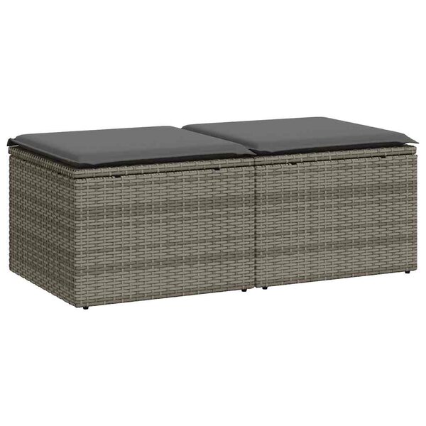 vidaXL Salon de jardin 2 Pièces avec coussins gris résine tressée acacia
