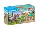 71356 3 chevaux morgan  quarter horse  and  shagya