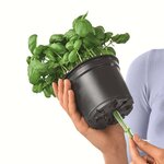 LECHUZA 3 Pièces Jardinières Green Wall Home Kit Blanc