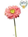 Gerbera artificiel  h 48 cm rose soutenu - best - couleur: rose soutenu