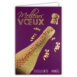 Carte Meilleurs Vœux Bonne Année + Enveloppe 12x17cm