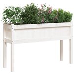 vidaXL Jardinières avec pieds blanc 110x31x70 cm bois de pin massif