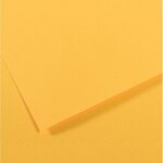 Paquet de 10 feuilles Mi-Teintes CANSON 50 x 65 cm 160 g coloris bouton d'or