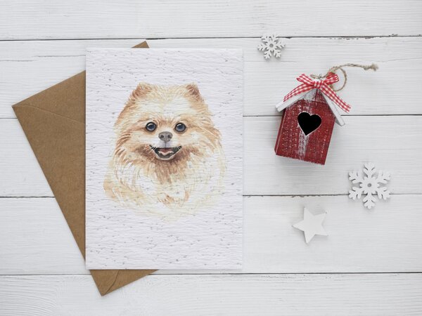 Carte à planter nos amis les chiens