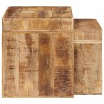 vidaXL Tables d'appoint Marron bois de manguier massif