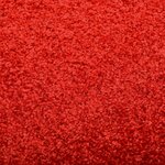 Vidaxl paillasson lavable rouge 60x180 cm