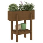 vidaXL Jardinière marron miel 62x30x69 cm bois massif de pin