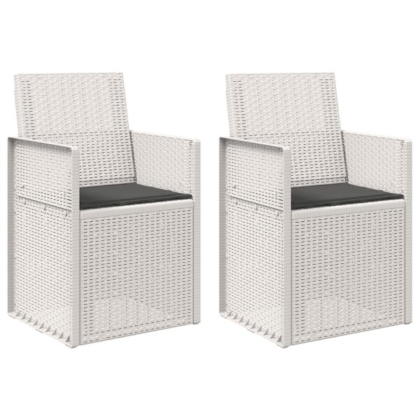 vidaXL Chaises de jardin salle à manger 2 Pièces Blanc et anthracite PP