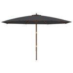 vidaXL Parasol de jardin avec mât en bois noir 400x273 cm