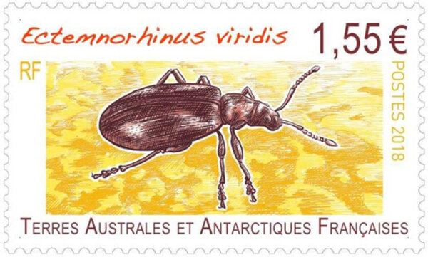 Timbre - TAAF - Ectemnorhinus Viridis