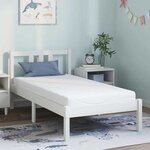 vidaXL Matelas Blanc 80 x 160 cm Mousse