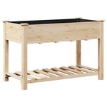 vidaXL Cache-pot de jardin avec étagère Beige 115 x 59 x 76.5 cm