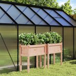 vidaXL Jardinières 2 Pièces avec pieds bois massif douglas