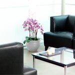 PoeTIC - Coupe Siena Nobile 38 blanc effet gloss - Ø38 x H29 cm - 22 L