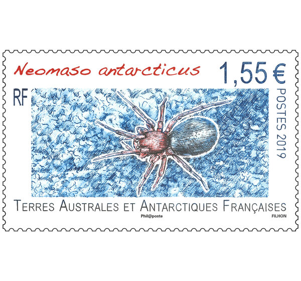 Timbre - TAAF - Neomaso antarcticus