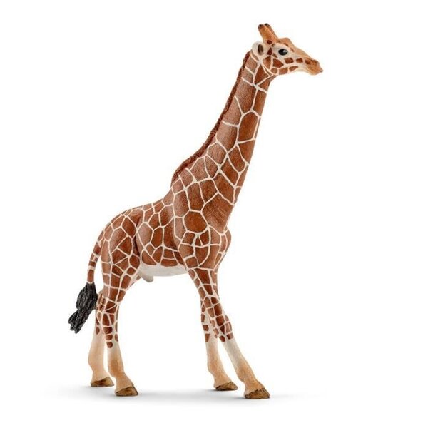 Schleich Figurine 14749 - Animal de la savane - Girafe mâle