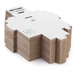 Boîte carton blanche d'expédition rajapost 31x21 5x10 cm (lot de 50)