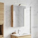 vidaXL Armoire Miroir de Salle de Bain Chêne artisan 50 x 14 5 x 70 cm