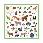 Djeco DJ09285 - Tattoos : Le monde des animaux