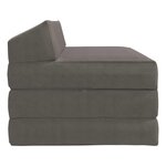 vidaXL Canapé-lit pliable Gris clair 120 x 60 x 49 cm Tissu