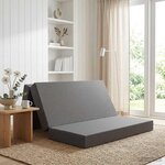 vidaXL Canapé-lit pliable 160 x 67 x 45 cm Gris clair