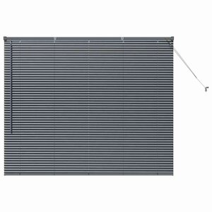 vidaXL Store de Fenêtre avec des rideaux Gris foncé Aluminium