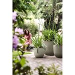 Fuente Grains Rond 38 gris granité