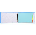 Clas. 2ax + interc. PP 165X245 25mm ass. x 10 EXACOMPTA